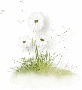 pinpng.com grass png clipart 5866917