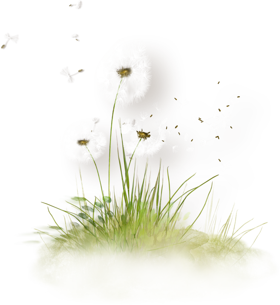 pinpng.com grass png clipart 5866917